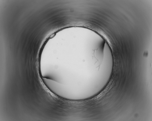 X0000099401088200806051202