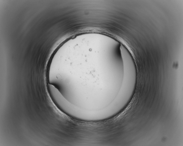 X0000099401090200806051202