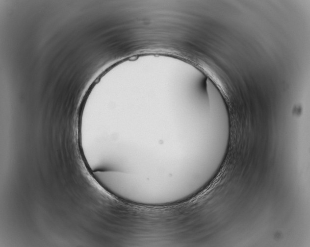 X0000099401092200806051202