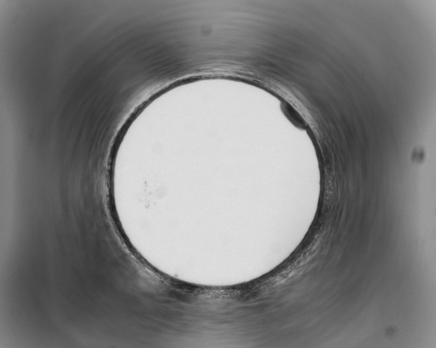 X0000099401093200806051202