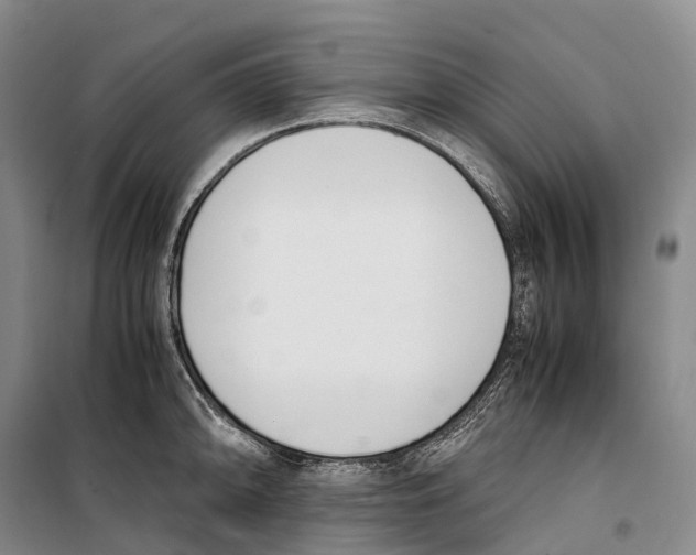 X0000099401094200806051202