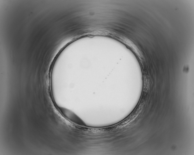 X0000099401095200806051202