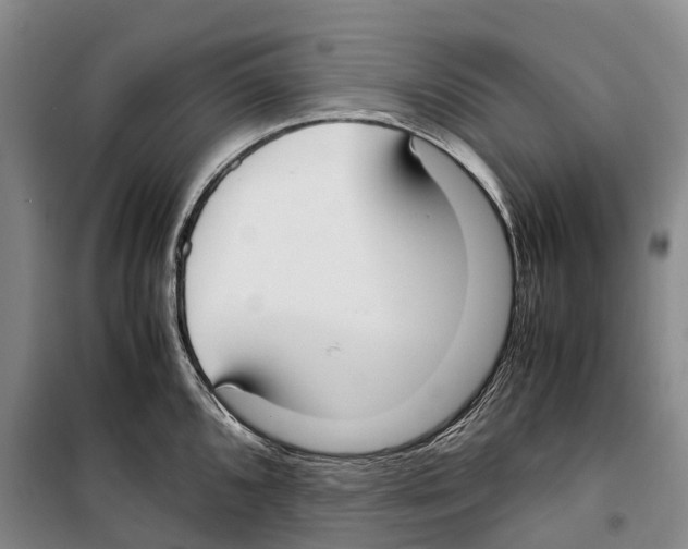 X0000099401096200806051202