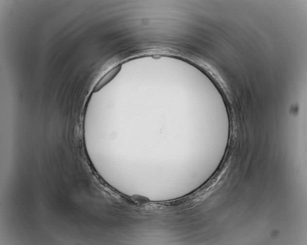 X0000099401097200806051202
