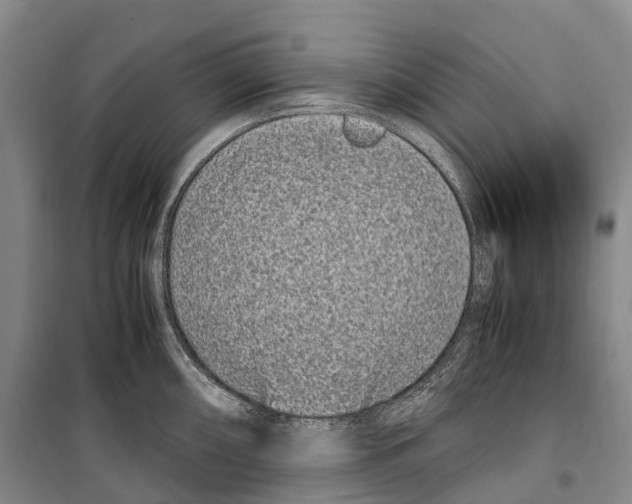 X0000099401098200806051202
