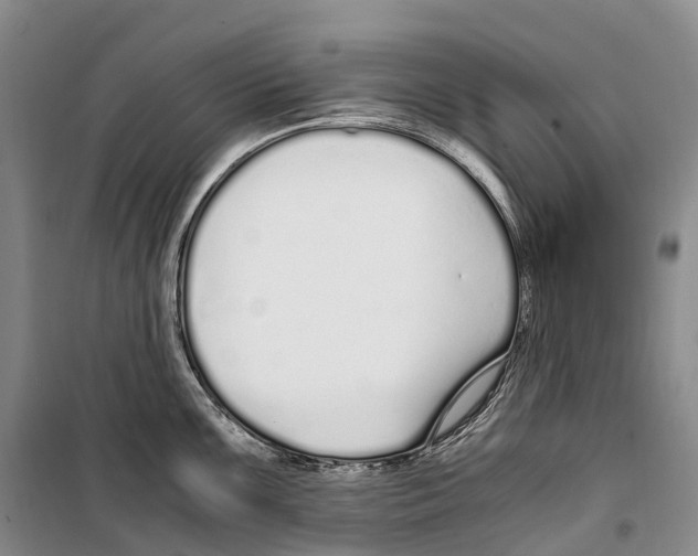 X0000099401099200806051202