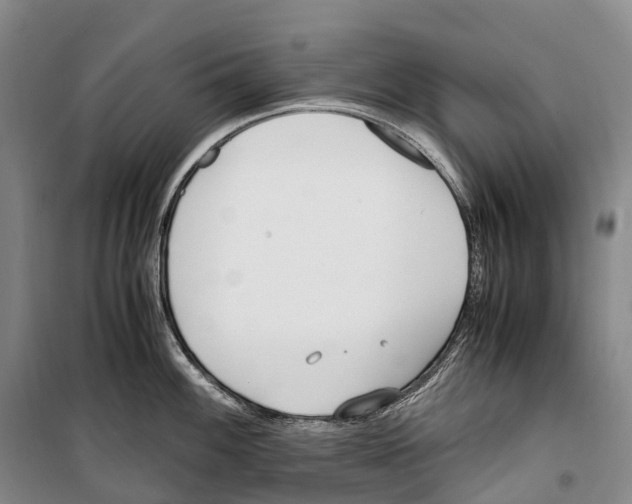 X0000099401100200806051202