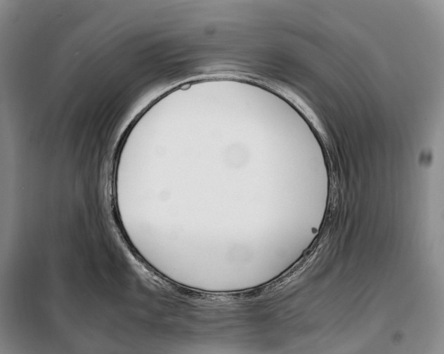 X0000099401101200806051202