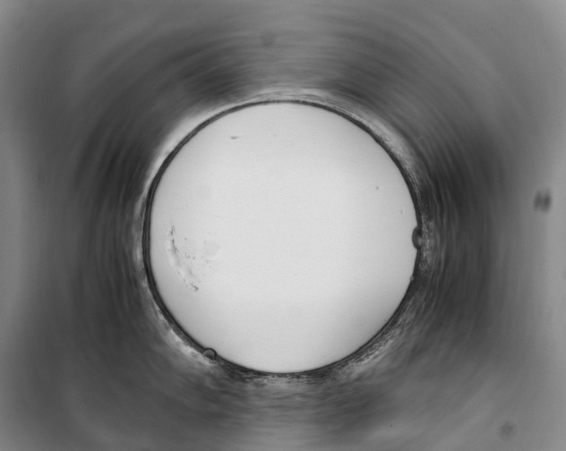X0000099401102200806051202
