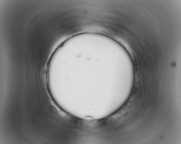 X0000099401103200806051202