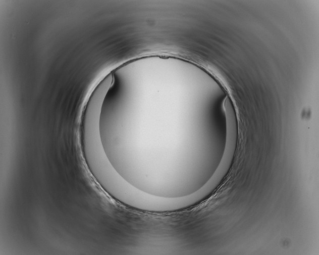 X0000099401104200806051202