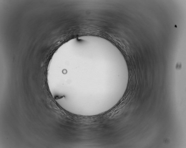 X0000099401105200806051201