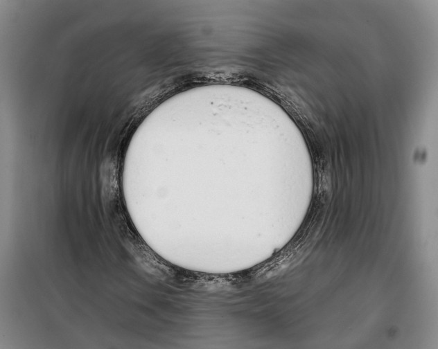 X0000099401106200806051201