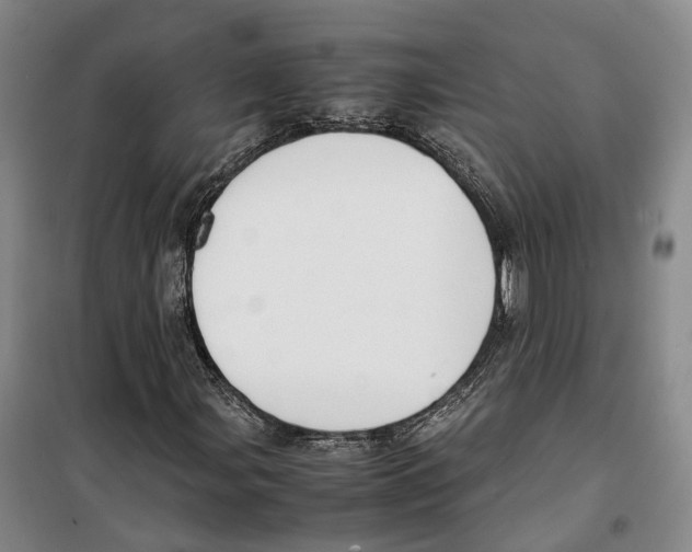 X0000099401107200806051201