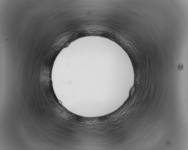 X0000099401108200806051201
