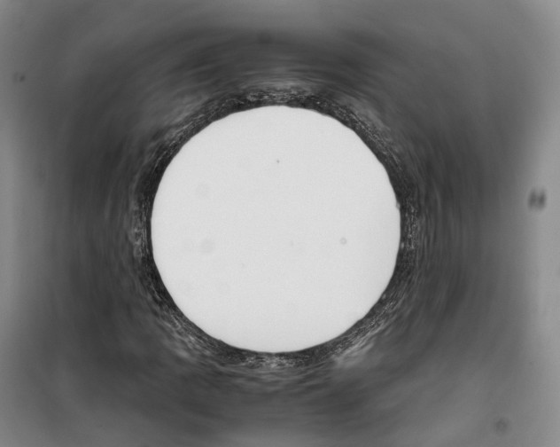 X0000099401109200806051201