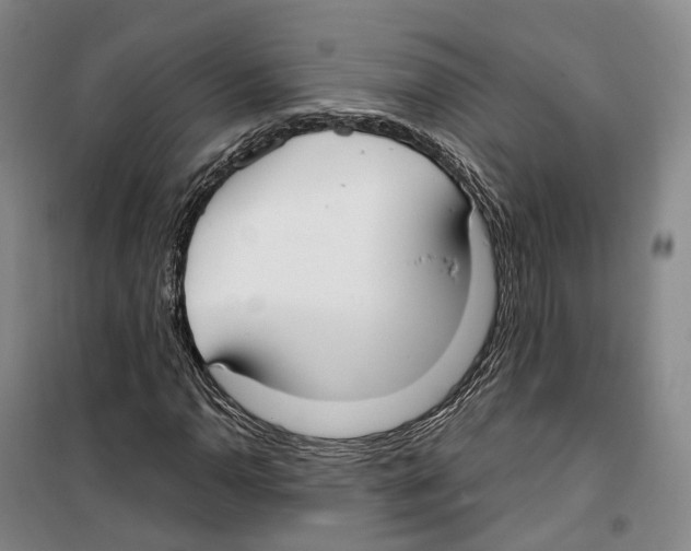 X0000099401110200806051201