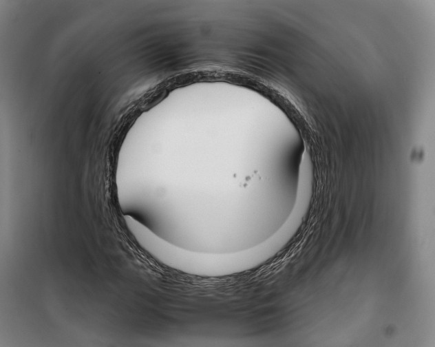 X0000099401111200806051201