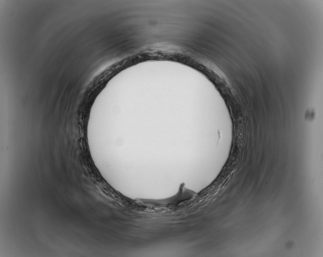 X0000099401112200806051201