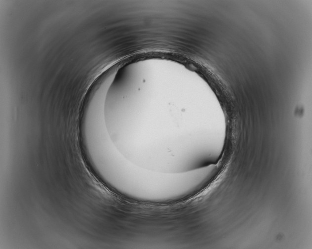 X0000099401113200806051201