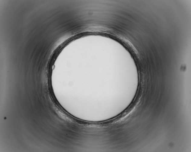 X0000099401114200806051201