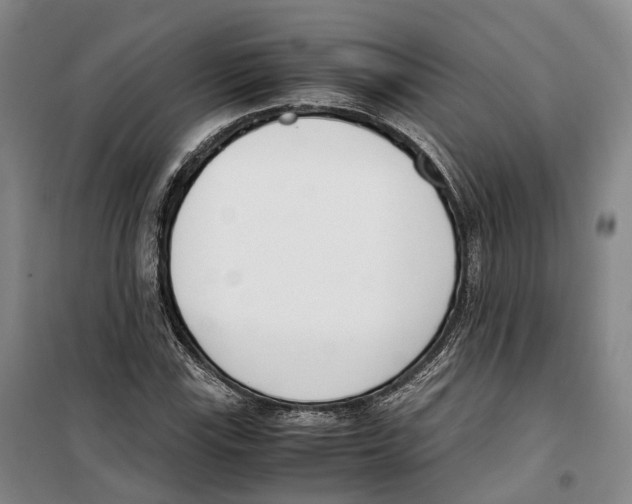 X0000099401115200806051201
