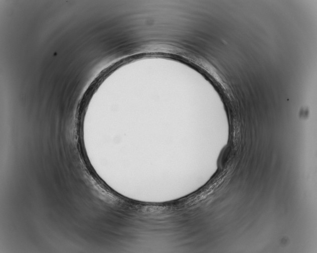 X0000099401116200806051201
