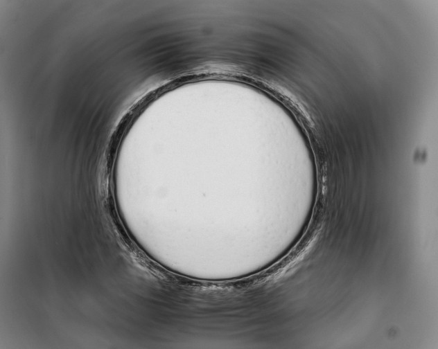 X0000099401117200806051201