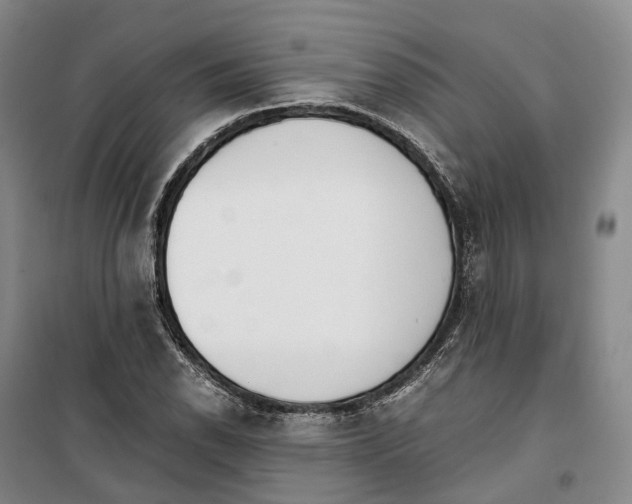 X0000099401118200806051201
