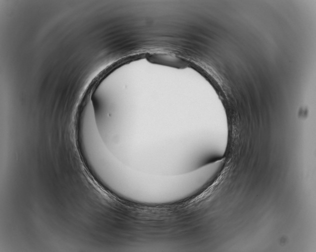 X0000099401119200806051201