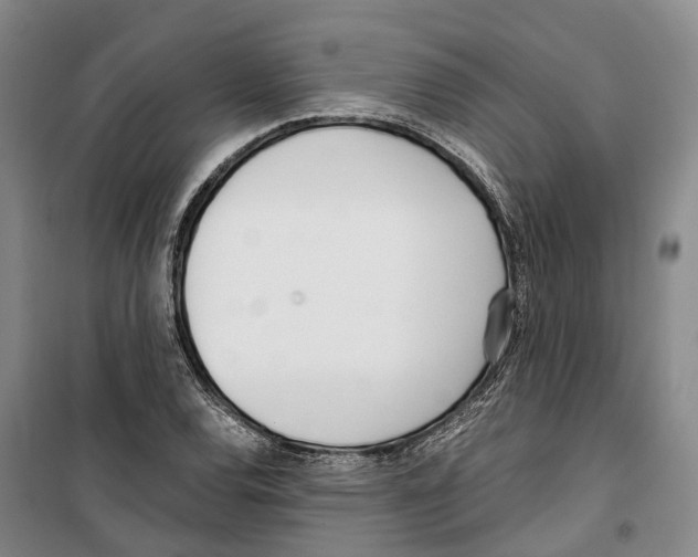 X0000099401120200806051201