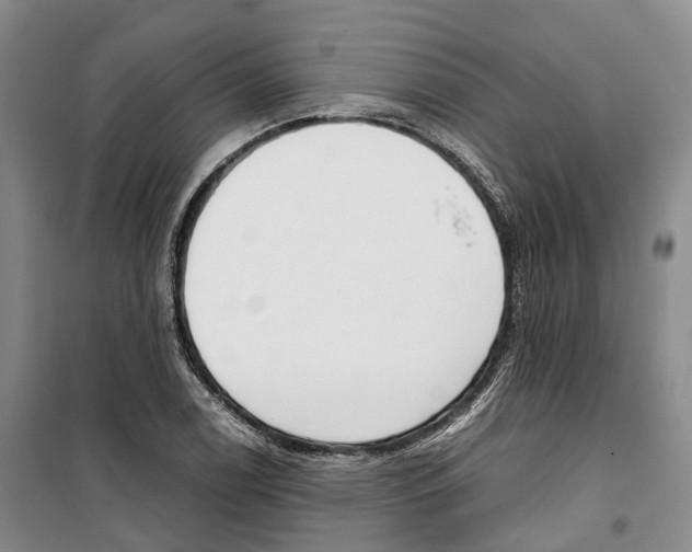 X0000099401122200806051201
