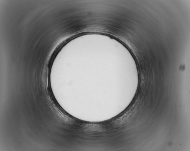 X0000099401123200806051201