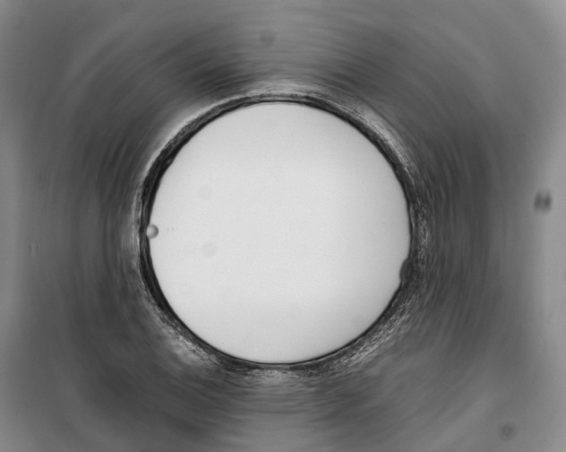 X0000099401124200806051201