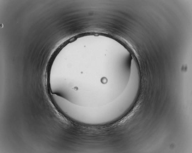 X0000099401125200806051201