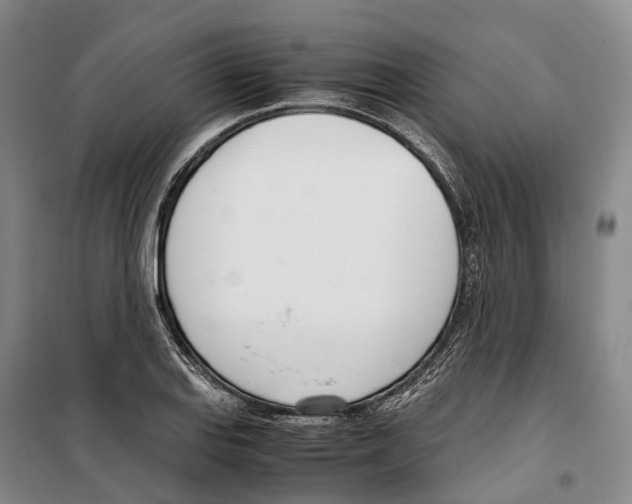 X0000099401127200806051201