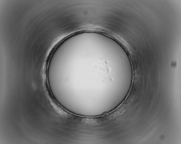 X0000099401128200806051201
