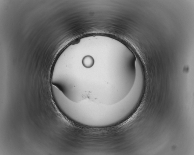 X0000099401129200806051201