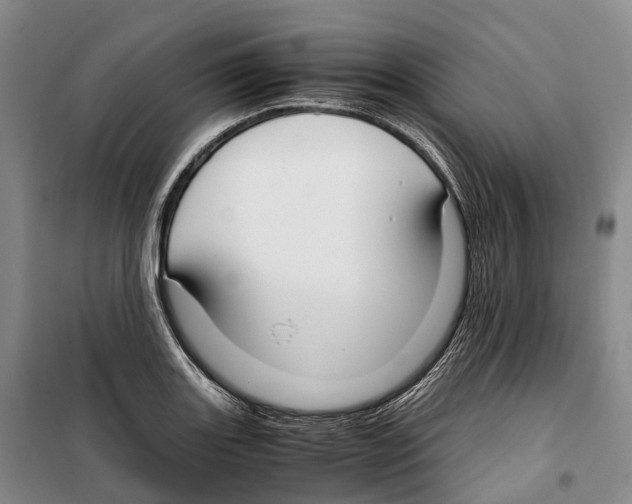 X0000099401131200806051201
