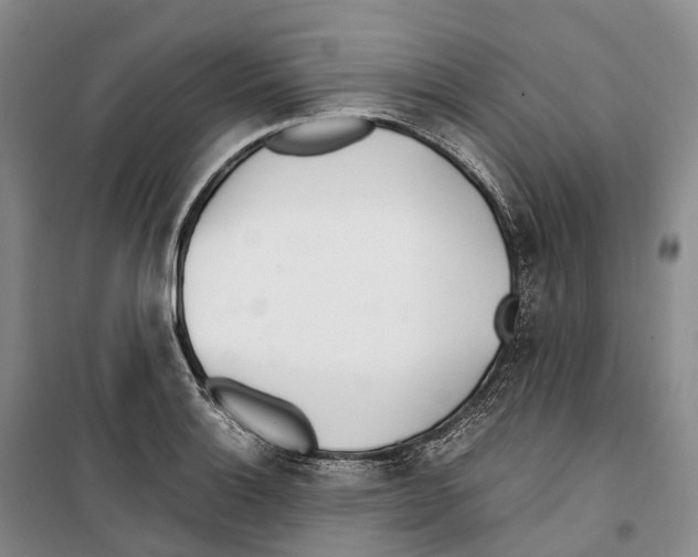 X0000099401132200806051201