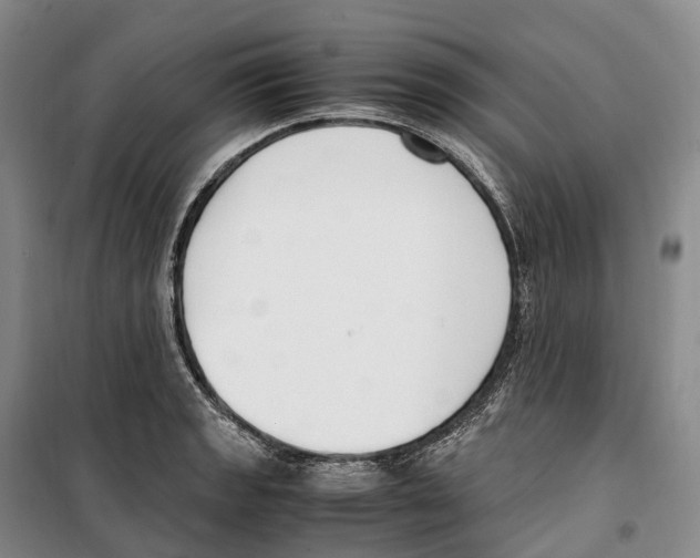 X0000099401133200806051201