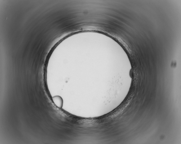X0000099401134200806051201