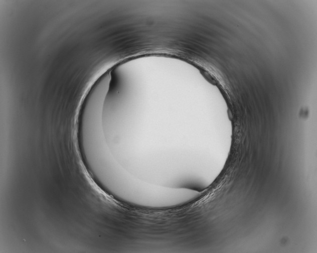 X0000099401135200806051202