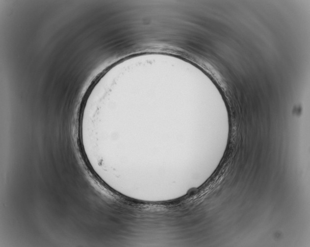 X0000099401136200806051202