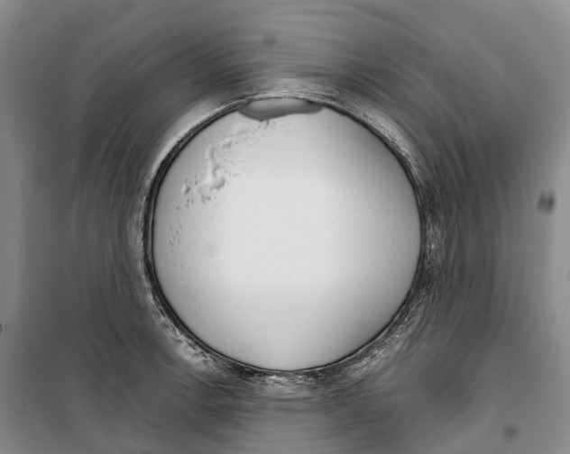 X0000099401138200806051202