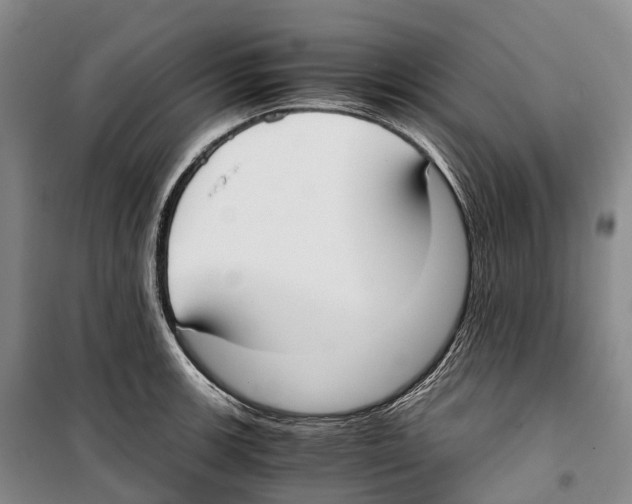 X0000099401139200806051202