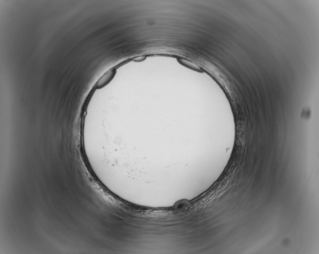 X0000099401140200806051202