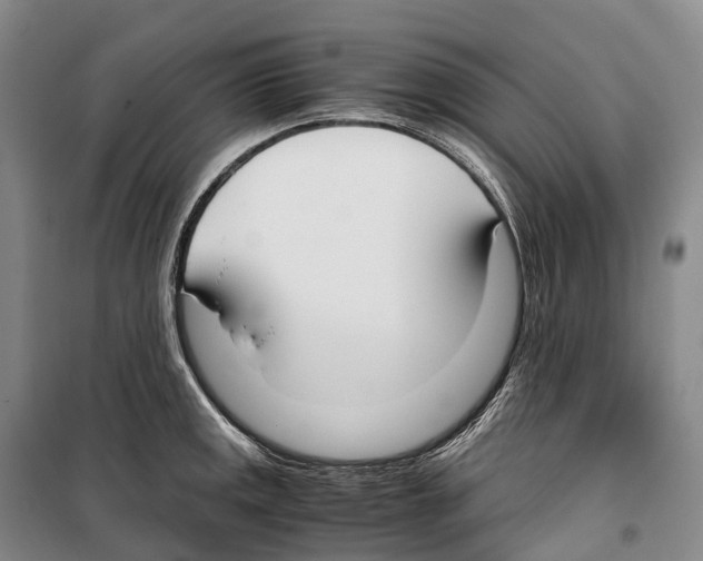 X0000099401141200806051202