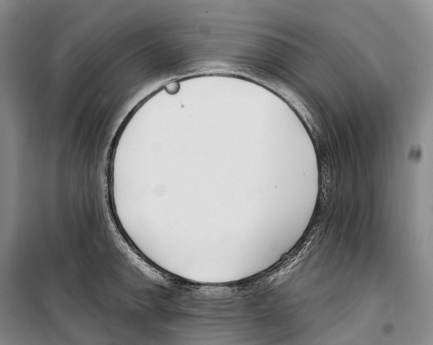 X0000099401142200806051202
