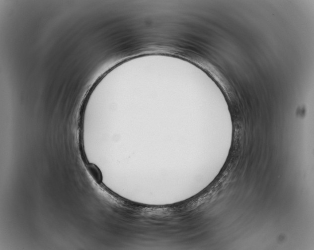 X0000099401143200806051202